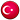 Türkçe