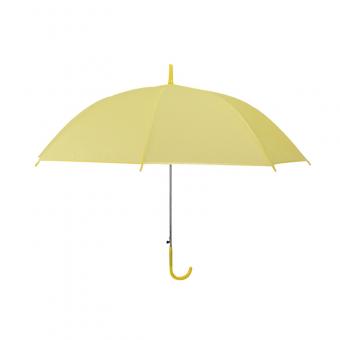 Transparent Clear Automatic Umbrella