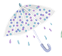 Custom umbrella